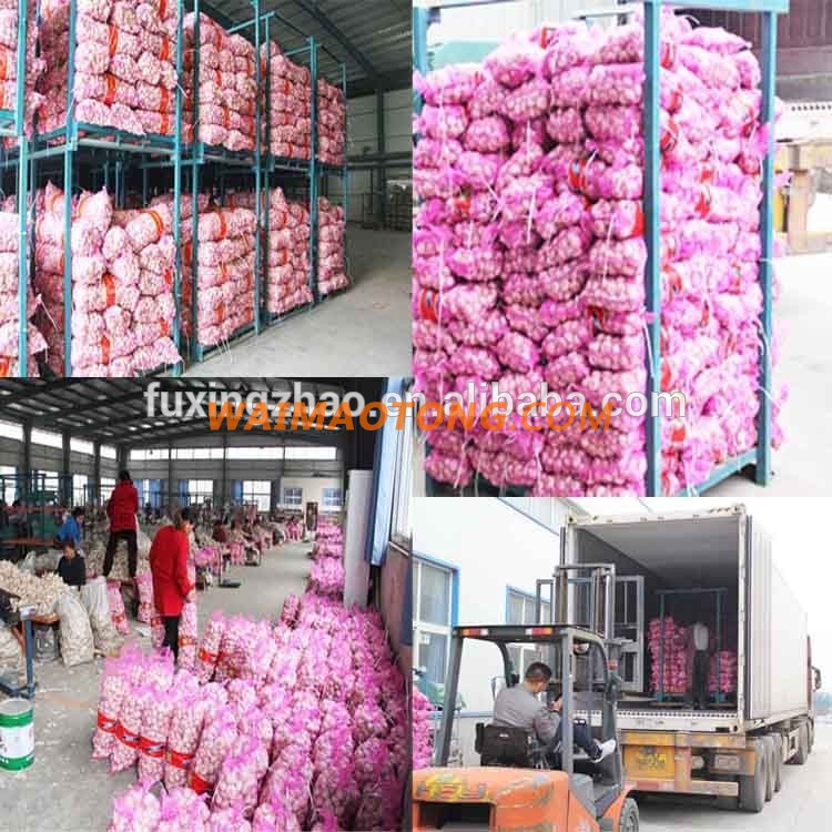 Fresh New Garlic Natural Garlic Chinese Garlic Wholesale