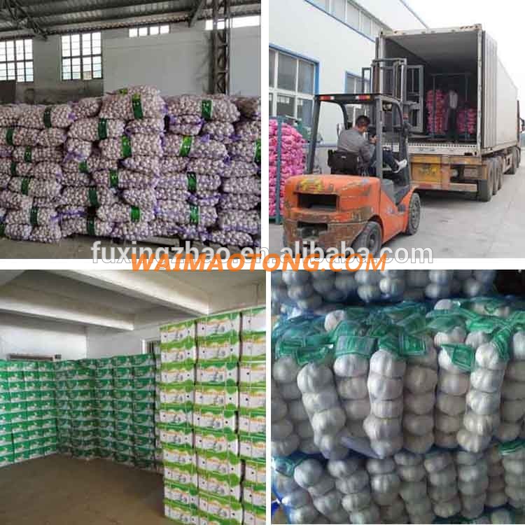 Fresh New Garlic Natural Garlic Chinese Garlic Wholesale