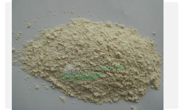 Garlic powder/ Dehydrated garlic powder/Dried garlic powder