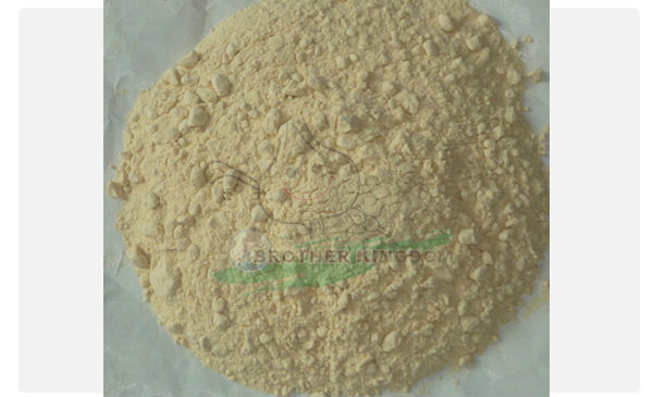 Garlic powder/ Dehydrated garlic powder/Dried garlic powder