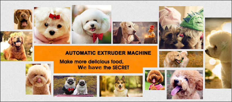 Good Price of Different Models Animal Feed Dog Food Extruaion Machine