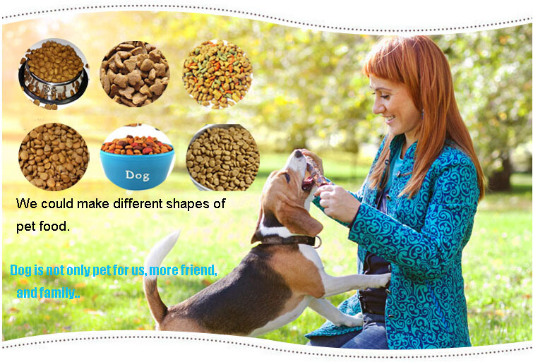 Good Price of Different Models Animal Feed Dog Food Extruaion Machine