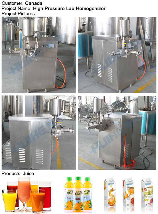 Stainless Steel Food Homogenizer for Food