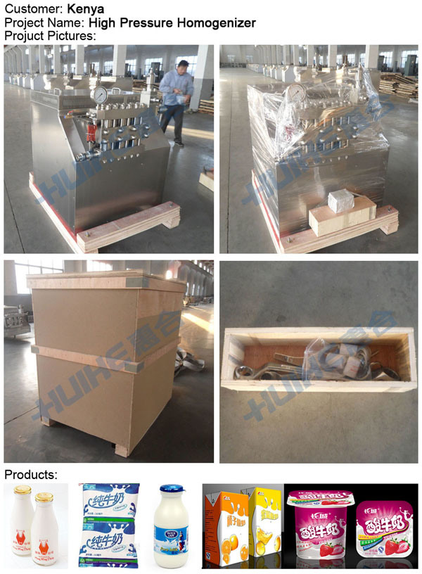 Stainless Steel Food Homogenizer for Food