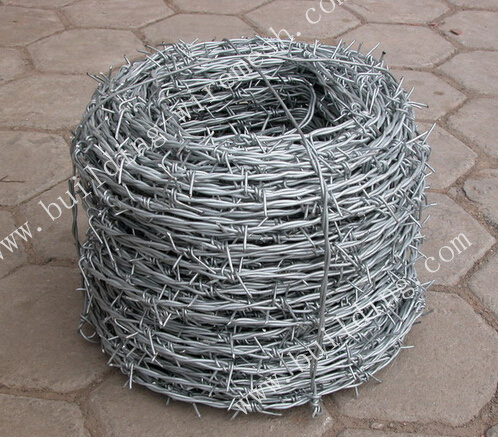 Factory Directly Sale Barbed Wire/Razor Barbed Wire/Cheap Barbed Wire