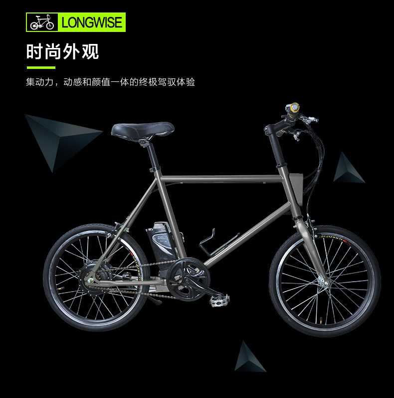 Ce TUV Certificate Electric Ebike (LWEB-T2008)