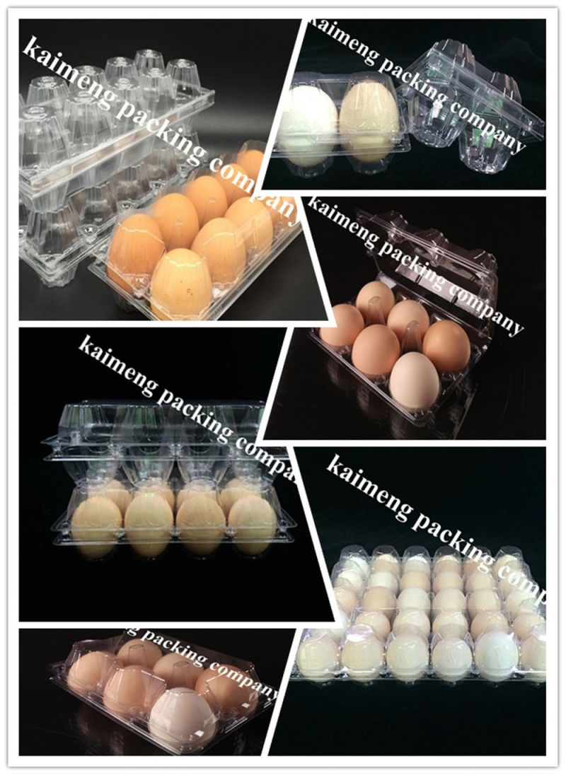 Wholesale Clear Plastic Chicken Egg Hatching Trays