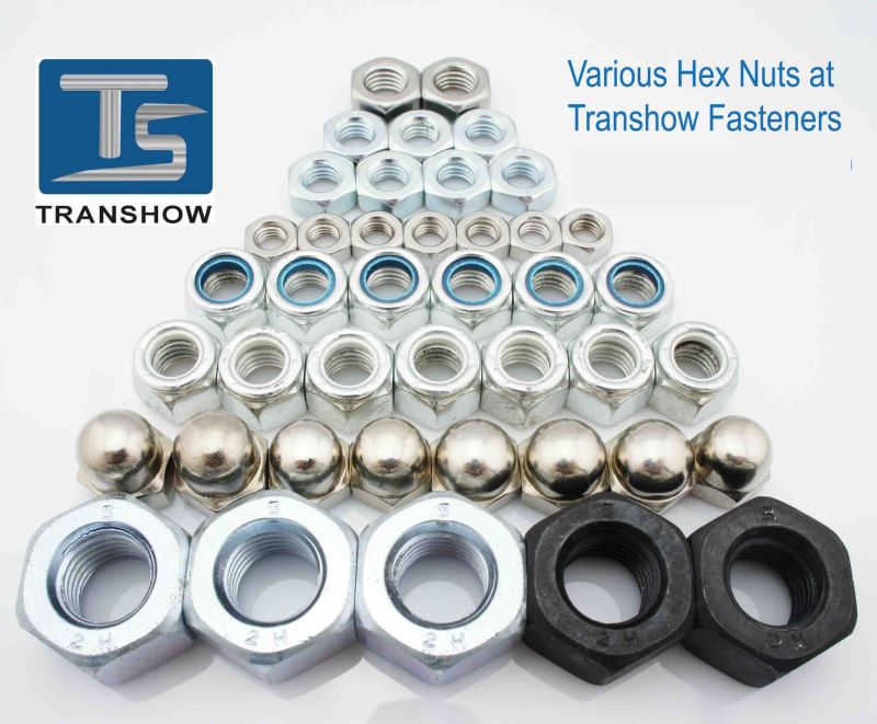 DIN ANSI JIS Bsw Carbon Steel Hex Nut