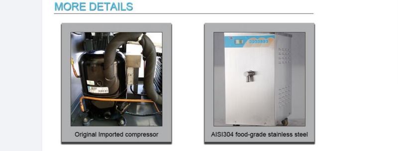 Commercial Pasteurizer Milk Pasteurizing Machine