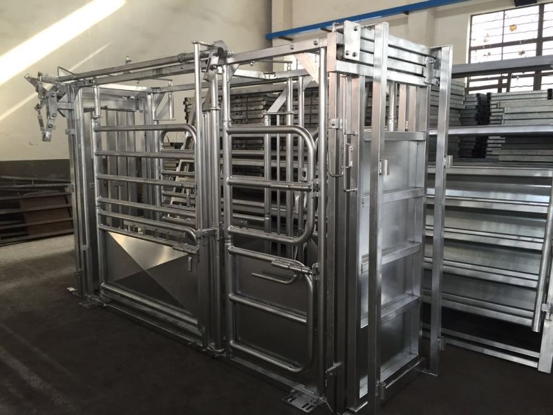 Hot DIP Galvanized Cattle Squeeze Crush