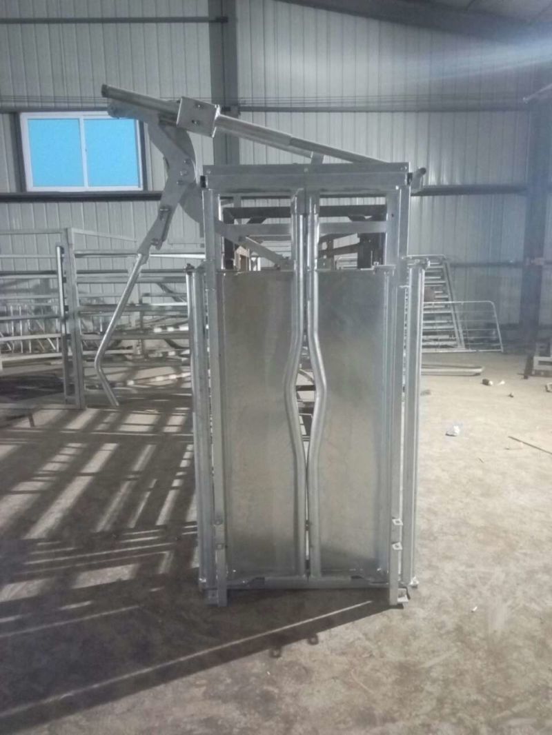 Hot DIP Galvanized Cattle Squeeze Crush