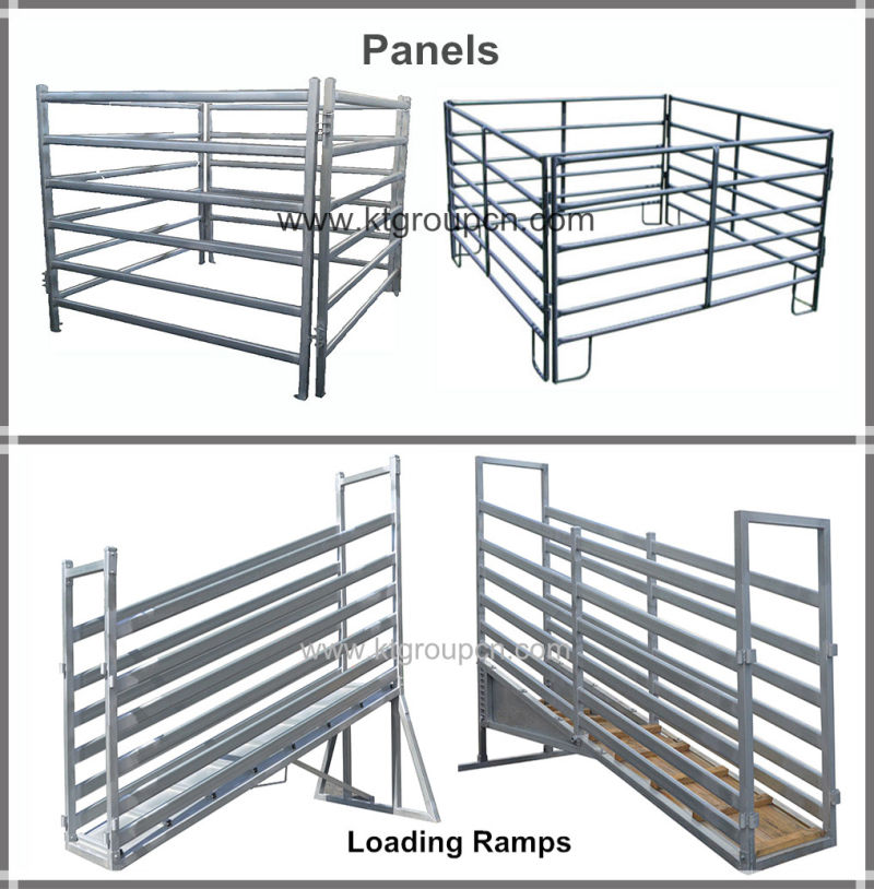 Popular in Australia Cattle Crate/ Squeeze Chute