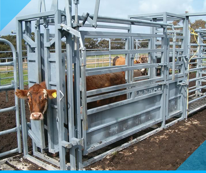 Cattle Squeeze / Cow Crush Hot Dipped Galvanized -Australia