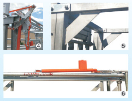 High Quality Powder Coated Cattle Squeeze Crush