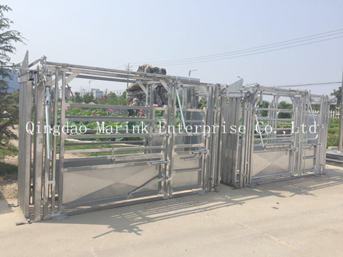 Heavy Duty Cattle Squeeze Chute with Hot DIP Galvanized Tube