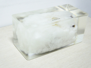 Clear Exquisite Epoxy Resin for Crystal Crafts