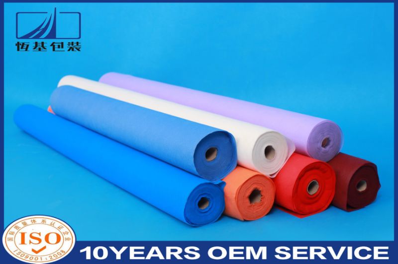 Hot Selling 100% PP Spunbonded Nonwoven Fabric