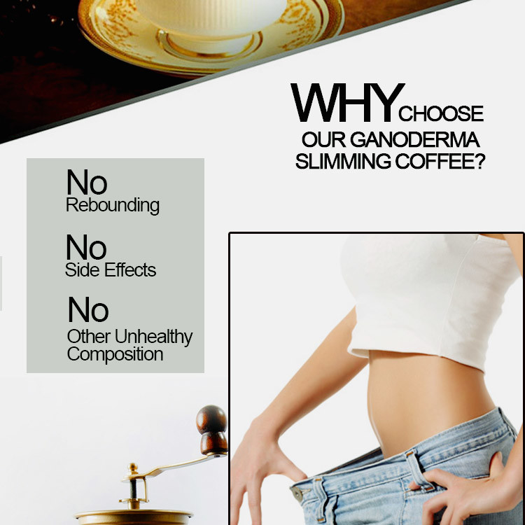 Health Organic Ganoderma Coffee Slimming Weight Loss