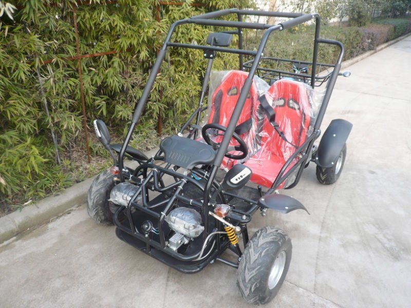 196cc Mini Buggy Go Kart with Roll Cage