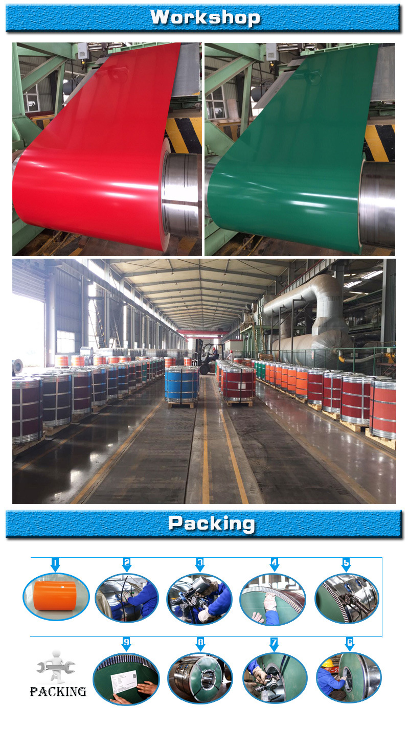 Anti-Corrosion Prepainted Galvanized Steel in Coil