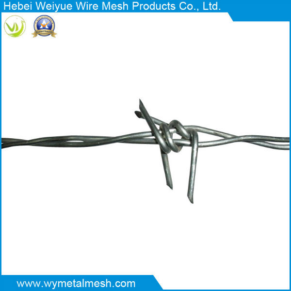 Electro Galvanized Double Line Barbed Wire