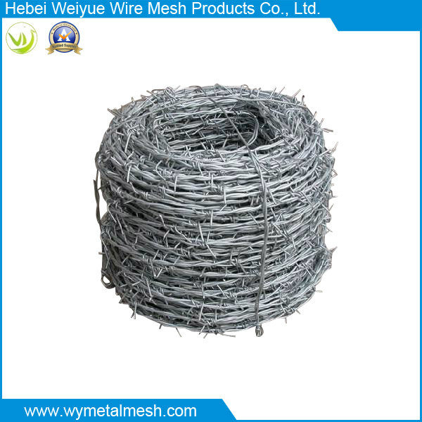 Electro Galvanized Double Line Barbed Wire