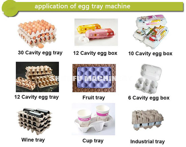 Capacity 4000-6000pic/H Paper Pulp Egg Fruit Carton Tray Form Making Equipment Machine