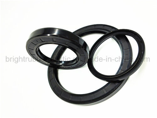 Double Lip Viton Rubber Metric Shaft Oil Seal with Spring