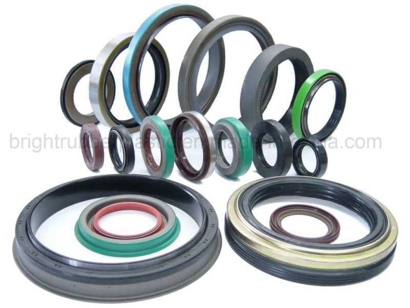 Double Lip Viton Rubber Metric Shaft Oil Seal with Spring