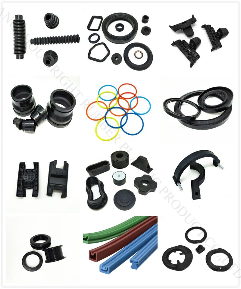 Double Lip Viton Rubber Metric Shaft Oil Seal with Spring