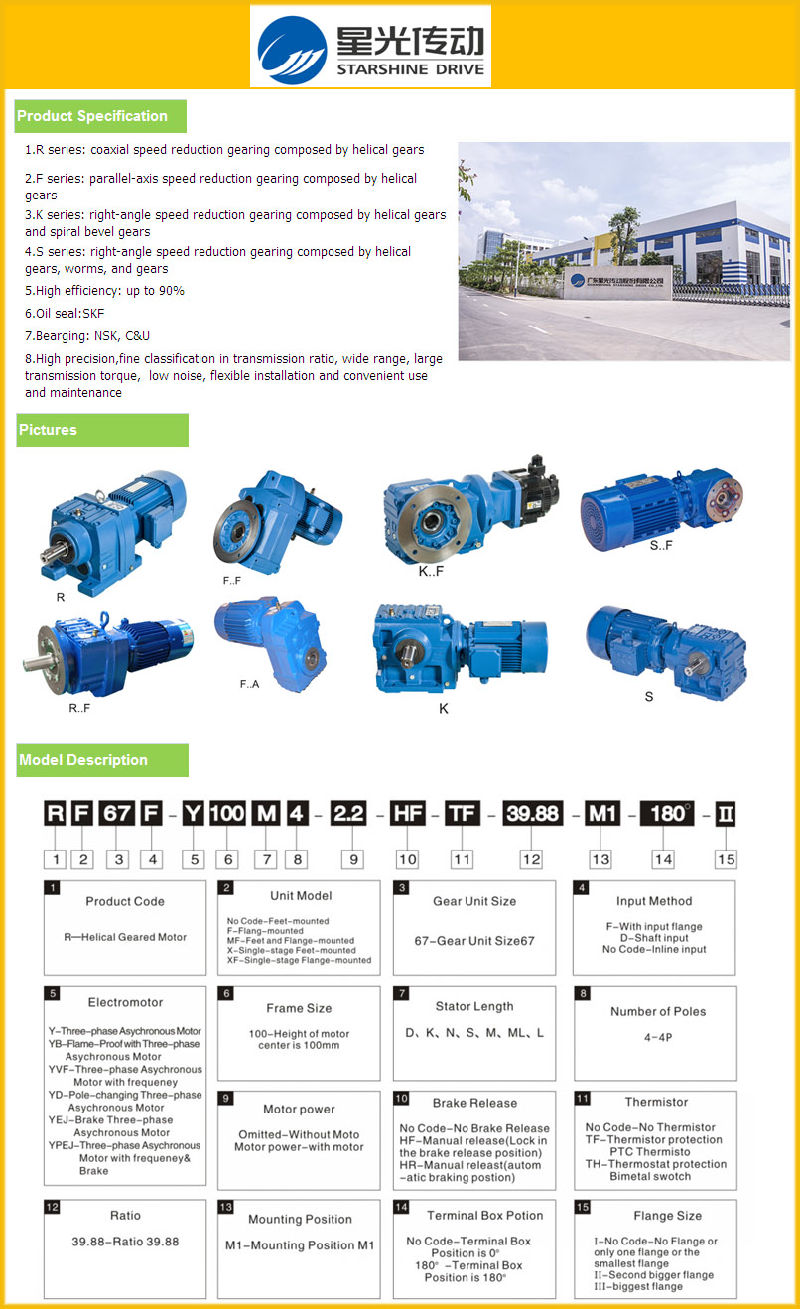 R Series Helical Gear Reducer with Flange Mounted