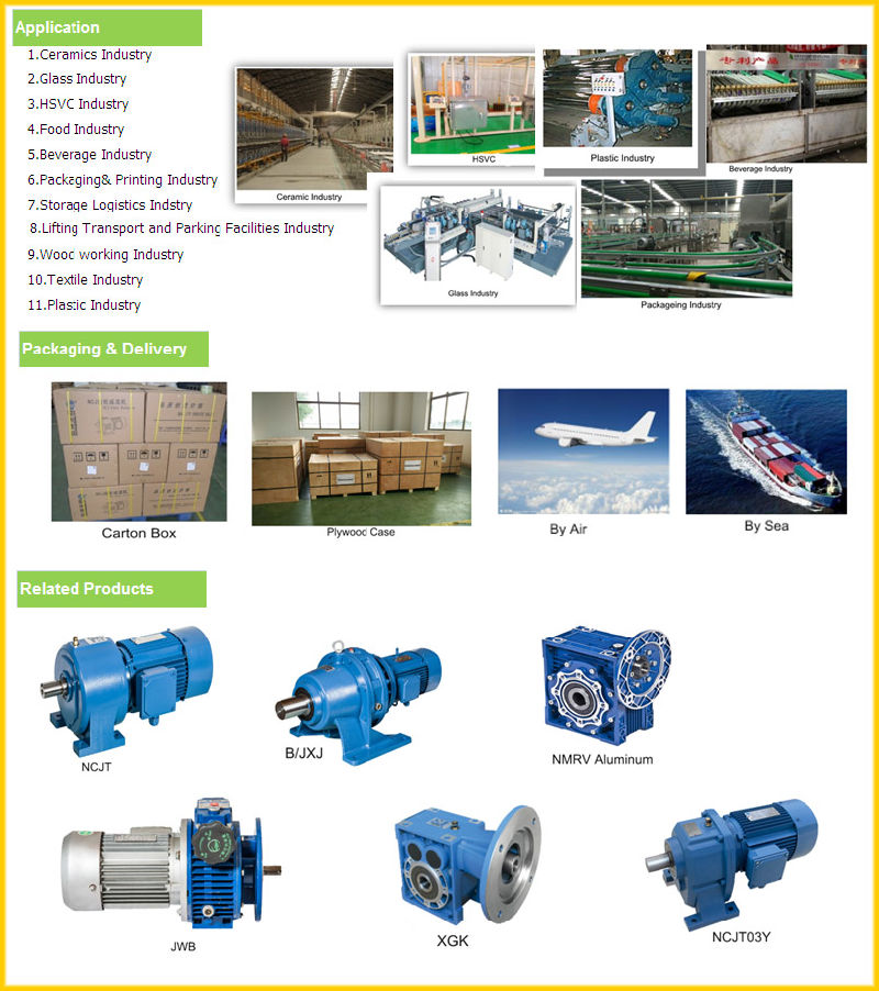 R Series Helical Gear Reducer with Flange Mounted