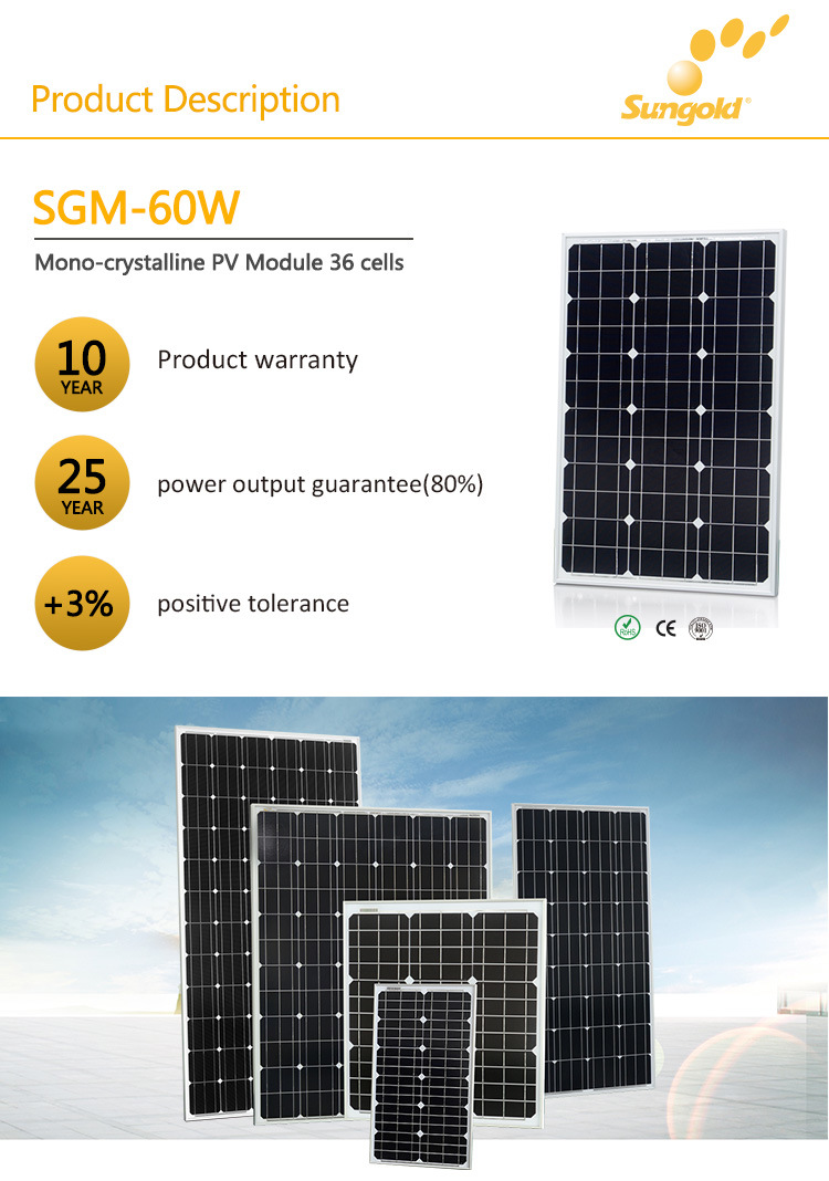 Solarworld Solar Cell Mono Solar Panel-60W for Sale