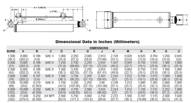 3000 Psi Hydraulic Cylinder for USA Yja