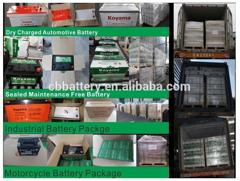 Lead Acid Battery 50ah 12V Storage AGM Battery Np50-12