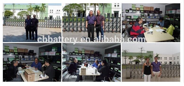 Lead Acid Battery 50ah 12V Storage AGM Battery Np50-12