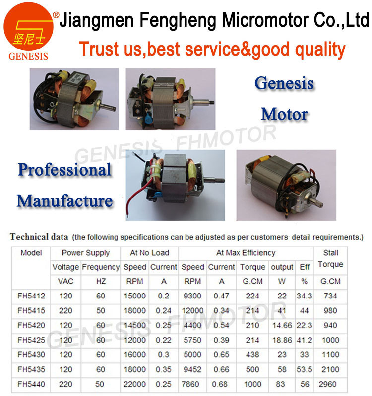 Jiangmen 100 Watts AC Motor