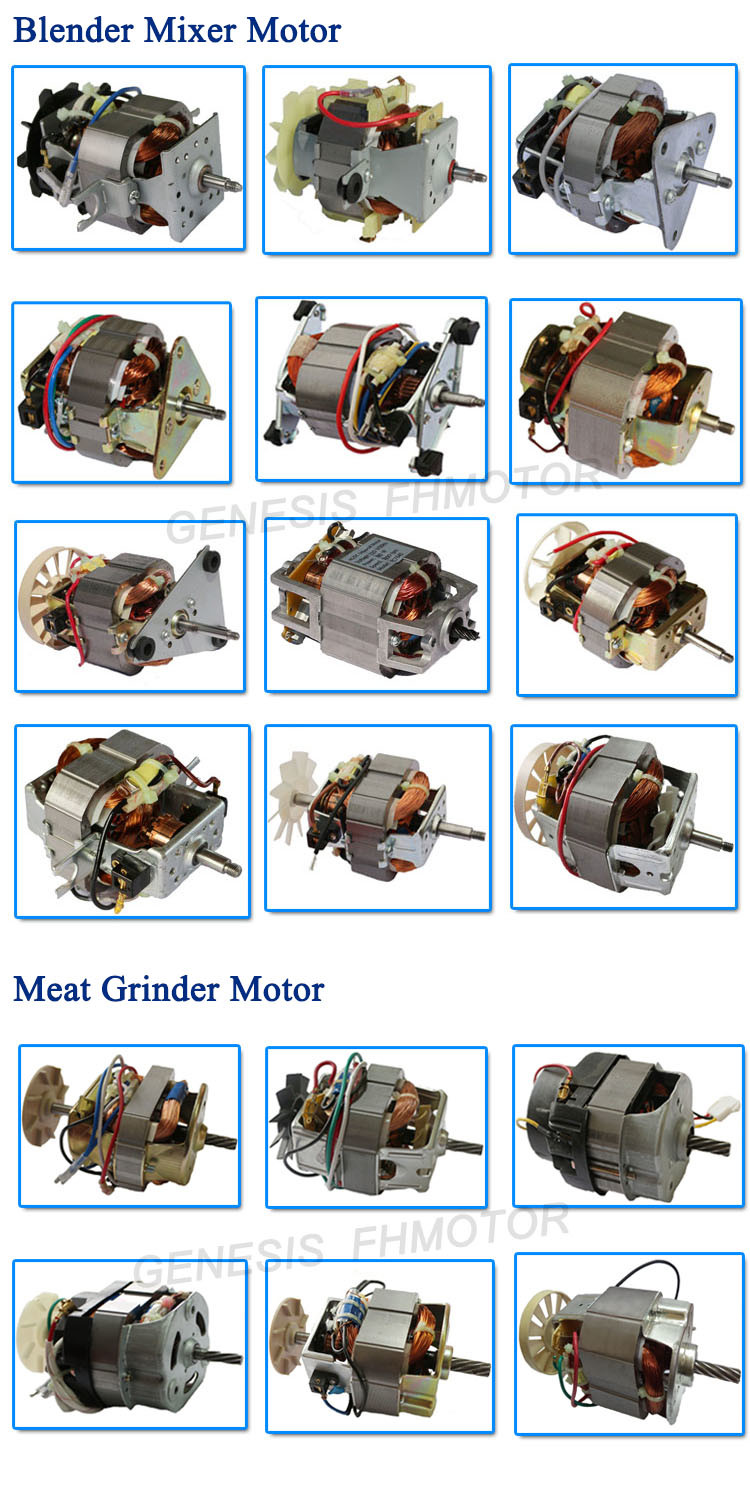 Jiangmen 100 Watts AC Motor