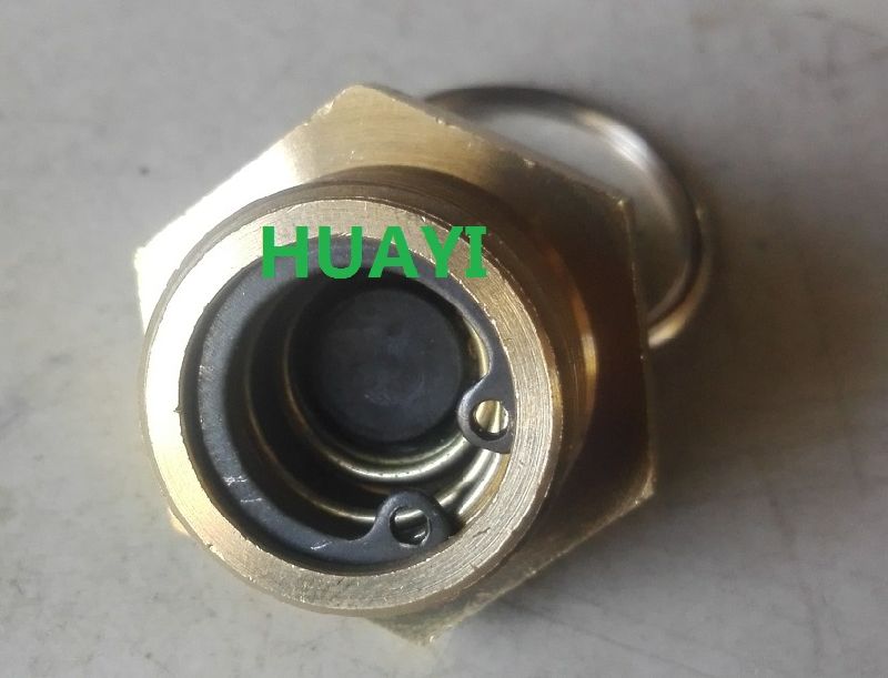 Manual Drain Valve for Air Reservoir (9343000010)