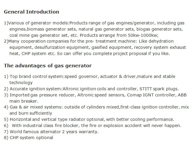 Coke Oven Gas Generator Made in China