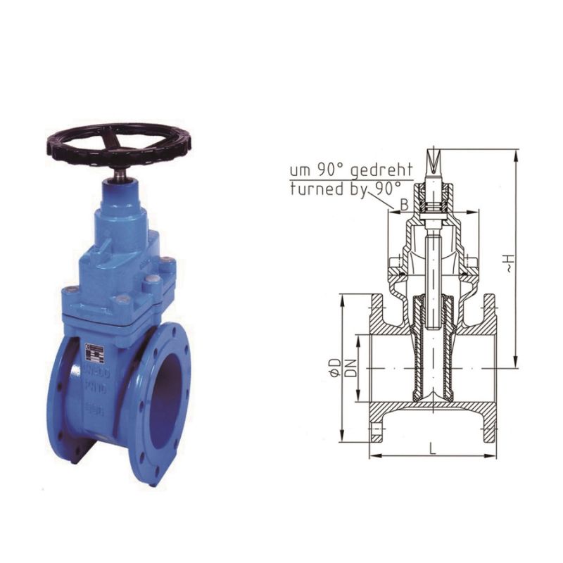 Resilient Seated Wedge Gate Valve