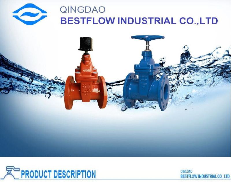 Ductile Iron /Cast Iron Socket Gate Valve