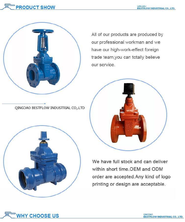 Ductile Iron /Cast Iron Socket Gate Valve