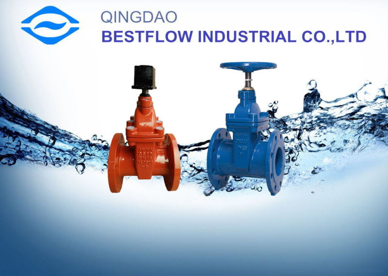 Soft Seal Ductile Iron Nrs Flange Gate Valve