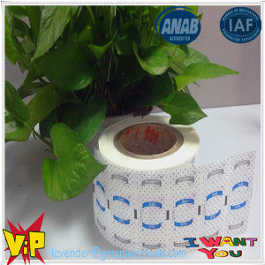 Paper Products, PE Coated Paper