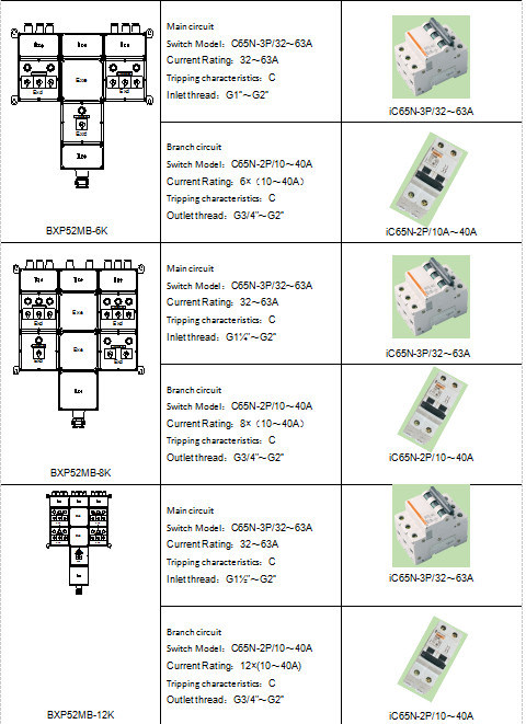 Bxp52- Series of Explosion-Proof Lighting (power) Distribution Box