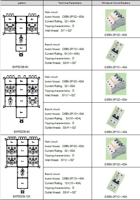 Bxp52- Series of Explosion-Proof Lighting (power) Distribution Box