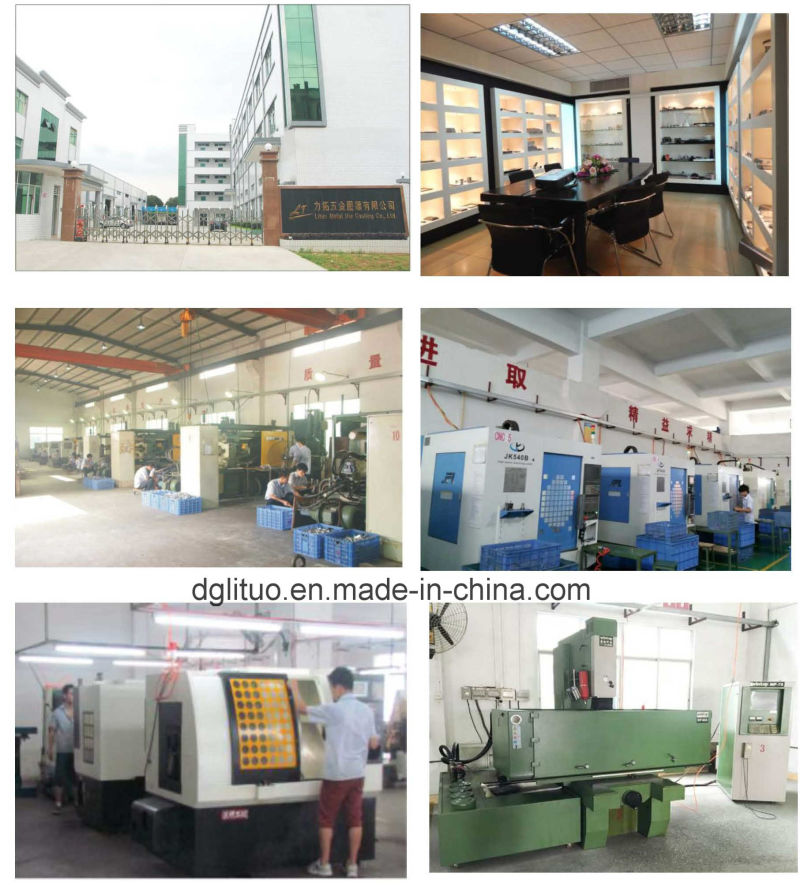 OEM Aluminum Alloy Metal Die Casting with Different Finishing