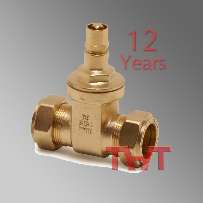 Yellow Brass Small Size Gate Valve