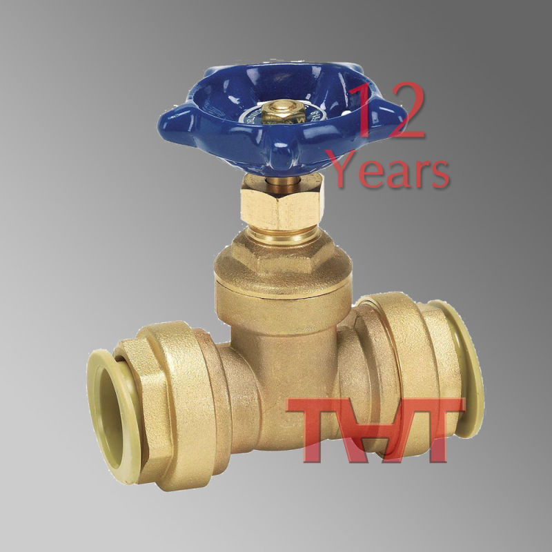 Yellow Brass Small Size Gate Valve